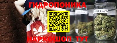 jwh Краснокаменск