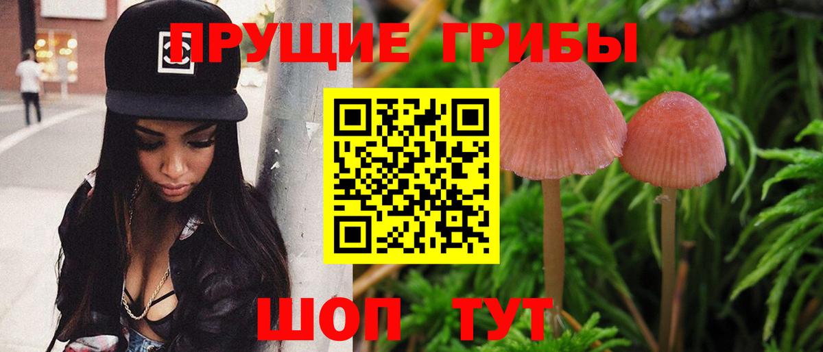 Галлюциногенные грибы прущие грибы  Вход с VPN  Выкса  сколько стоит  Галлюциногенные грибы GOLDEN TEACHER 