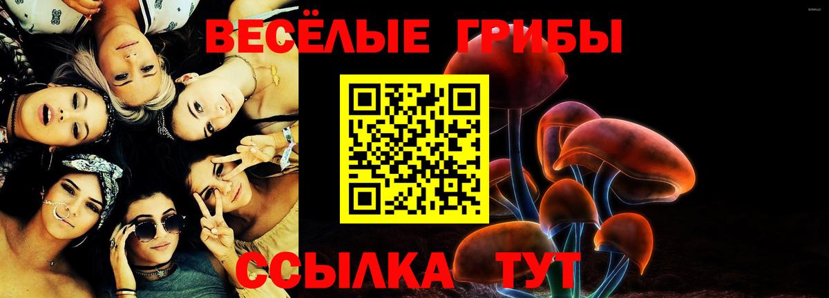 Псилоцибиновые грибы Psilocybine cubensis Выкса