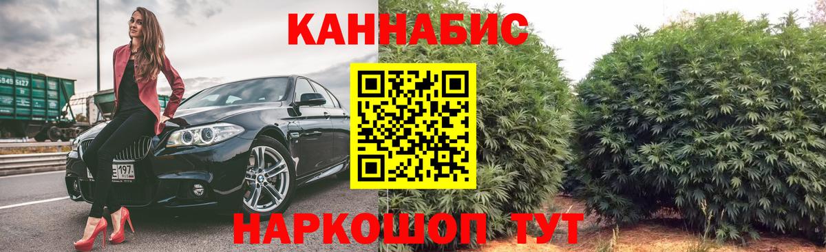 Каннабис планчик Выкса